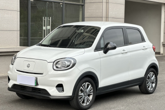 零跑汽车 零跑T03 2024款 310舒享版