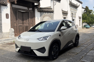 比亚迪 海鸥 2025款 智驾版 305km 自由版
