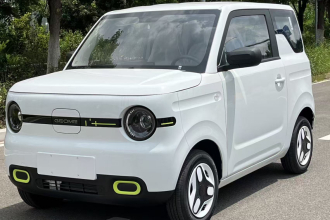 吉利银河 2025款 熊猫mini 210km 元气熊