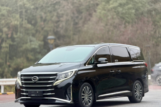 广汽传祺 传祺M8 2021款 领秀系列 390T 尊贵版