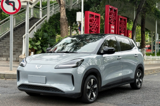 五菱汽车 五菱缤果PLUS 2024款 330km 五座版