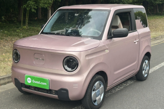 吉利银河 2023款 熊猫mini 200km 耐力熊