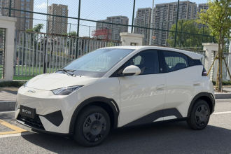 比亚迪 海鸥 2025款 智驾版 305km 活力版