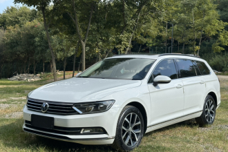 大众 蔚揽 2017款 380TSI 两驱舒行版