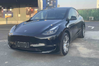 特斯拉 Model Y 2021款 标准续航后驱版