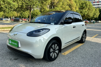 五菱汽车 五菱缤果 2024款 333km 悦享款