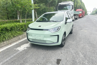 思皓 2022款 花仙子款 四叶草