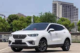 魏牌 VV5 2021款 1.5T 两驱颜先锋