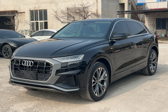 奥迪Q8 2023款 55 TFSI 豪华动感型