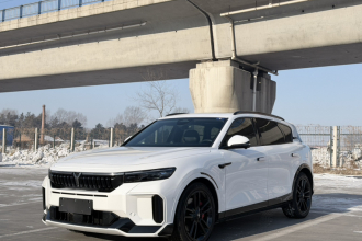 岚图汽车 岚图FREE 2025款 318 318km 后驱环游版