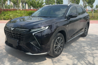 凯翼昆仑 2023款 昆仑 300 山峰版