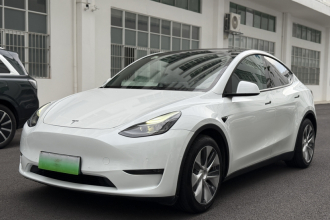 特斯拉 Model Y 2021款 长续航全轮驱动版
