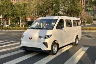 五菱汽车 五菱扬光 2024款 300KM 舒适型客车版 75kW