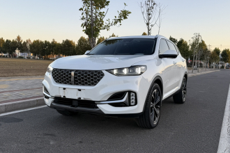 魏牌 VV6 2021款 2.0T 两驱智享+