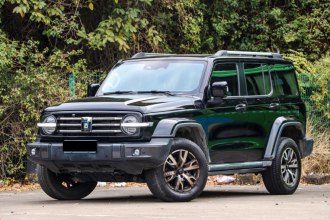 坦克300 2023款 城市版 2.0T 很有型