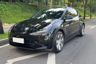 特斯拉 Model Y 2022款 后轮驱动版