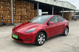 特斯拉 Model Y 2021款 长续航全轮驱动版 3D7