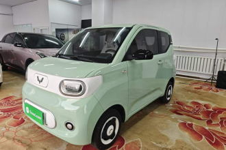五菱汽车 宏光MINIEV 2024款 第三代 215km 青春版