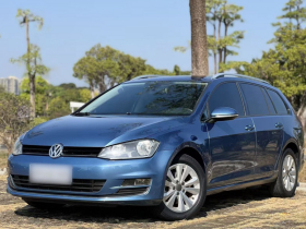 大众 高尔夫(进口) 2015款 1.4TSI 舒适旅行版