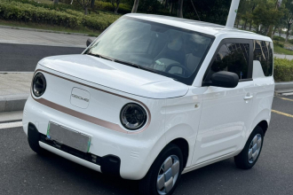 吉利银河 2023款 熊猫mini 200km 耐力熊