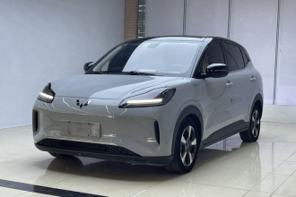 五菱汽车 五菱缤果PLUS 2024款 510km 旗舰版 四座版