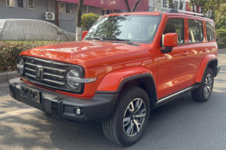 坦克300 2024款 2.0T 穿越者