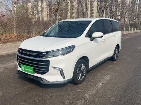 上汽大通MAXUS 大通G50 2021款 1.5T 手动畅游B