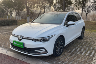 大众 高尔夫 2021款 280TSI DSG Pro