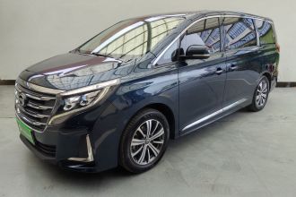 广汽传祺 传祺M8 2020款 领航款 390T 尊贵版