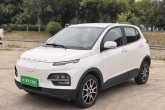 大运 悦虎 2021款 32.85kWh 两驱精灵版