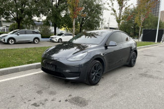 特斯拉 Model Y 2024款 后轮驱动版