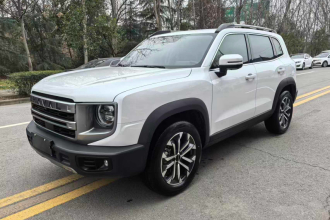 哈弗大狗 2024款 1.5T DCT边牧版