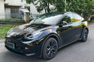 特斯拉 Model Y 2024款 后轮驱动版