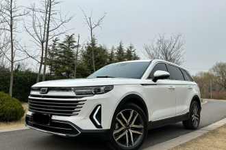 奔腾T99 2023款 2.0T 自动尊贵型