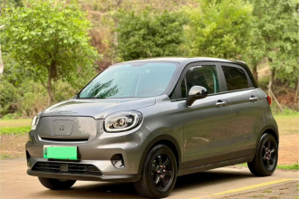 零跑汽车 零跑T03 2022款 珠光版