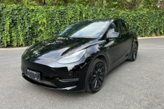 特斯拉 Model Y 2021款 长续航全轮驱动版