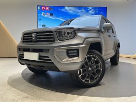 坦克700新能源 2024款 Hi4-T 极境版