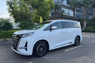 腾势D9 2024款 DM-i 1050 尊享型