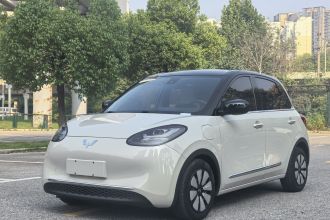 五菱汽车 五菱缤果 2023款 333km 灵犀互联+款