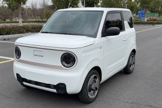 吉利银河 2023款 熊猫mini 200km 灵动熊