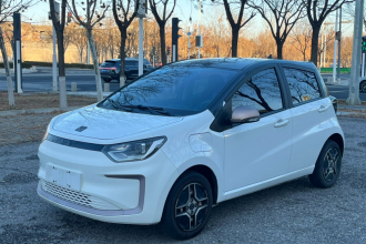 思皓 花仙子 2021款 302km 时尚型 31.4kWh