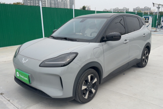 五菱汽车 五菱缤果PLUS 2024款 510km 旗舰版 四座版