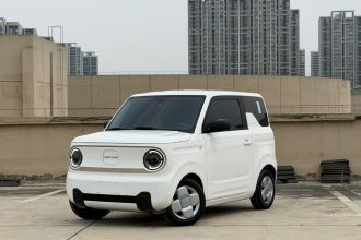 吉利银河 2024款 熊猫mini 200km 耐力熊