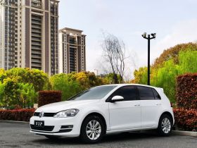 大众 高尔夫 2016款 1.6L 自动时尚型