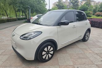 五菱汽车 五菱缤果 2023款 203km 舒享款