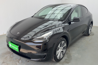 特斯拉 Model Y 2021款 标准续航后驱版