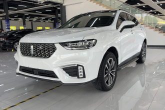 魏牌 VV5 2021款 1.5T 两驱智先锋