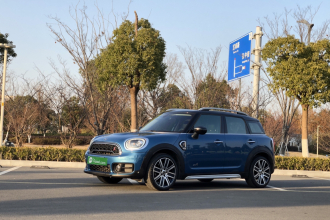 MINI Countryman 2019款 2.0T COOPER S ALL4 艺术家