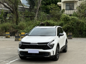 起亚 狮铂拓界 2023款 1.5T 两驱尊贵版