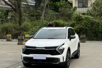 起亚 狮铂拓界 2023款 1.5T 两驱尊贵版